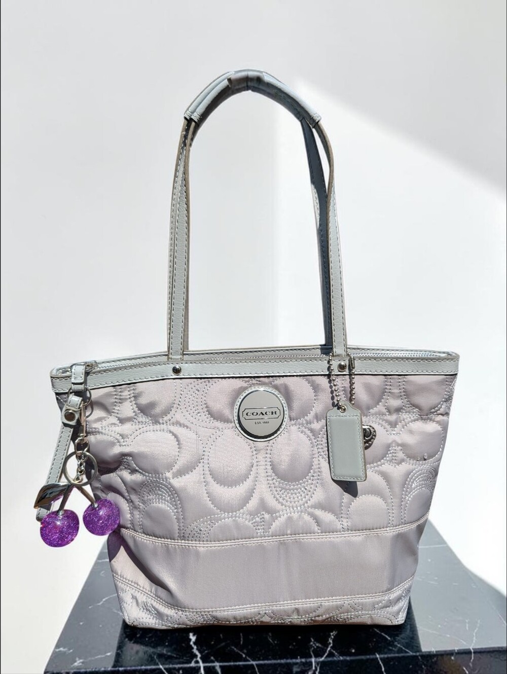 Coach Signature Stitch Dove Gray Tote Bag (F17668)